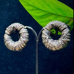 Adam in Chains Ear Weights from MAYA