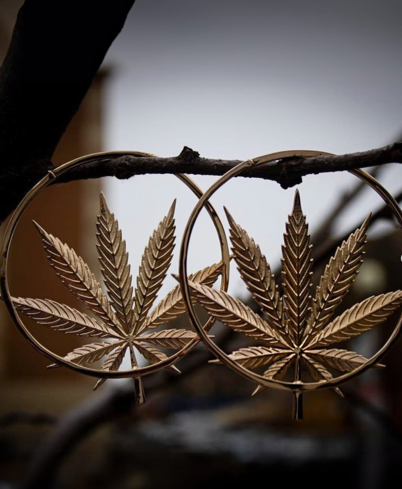 Sativa earrings from Maya